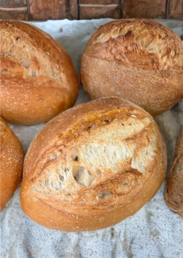 Gluten Free Sourdough Country Bread