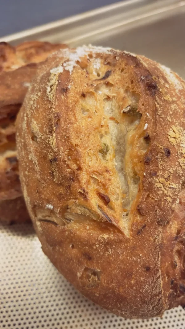 Gluten Free Cheddar-Jalapeño Sourdough Country Bread